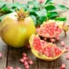 Granatapfel `Haku Botan´ Punica Granatum 2 Granatapfel `Haku Botan´ Punica Granatum -Pflanzenhof Verkaufsladen Granatapfel weiss Erweiterte Lizenz