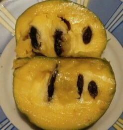 Veredelte Indianerbanane (Paw Paw) `Shenandoah®´ Asimina Triloba `Shenandoah´ -Pflanzenhof Verkaufsladen Indianerbanane von Innen5a0476156796c