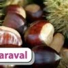 Esskastanie `Maraval´ Castanea Sativa `Maraval´ 1 Esskastanie `Maraval´ Castanea Sativa `Maraval´ -Pflanzenhof Verkaufsladen Maraval