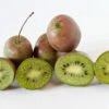 Großfrüchtige Bayern-Kiwi `Pink Jumbo´ Actinidia Arguta `Pink Jumbo´ -Pflanzenhof Verkaufsladen Pink Jumbo1