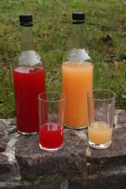 Rosette® Malus Domestica -Pflanzenhof Verkaufsladen Rosette Saft