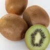 Kiwi `Solissimo´® Actinidia Deliciosa -Pflanzenhof Verkaufsladen actinidia deliciosa kiwi 1s1b4334